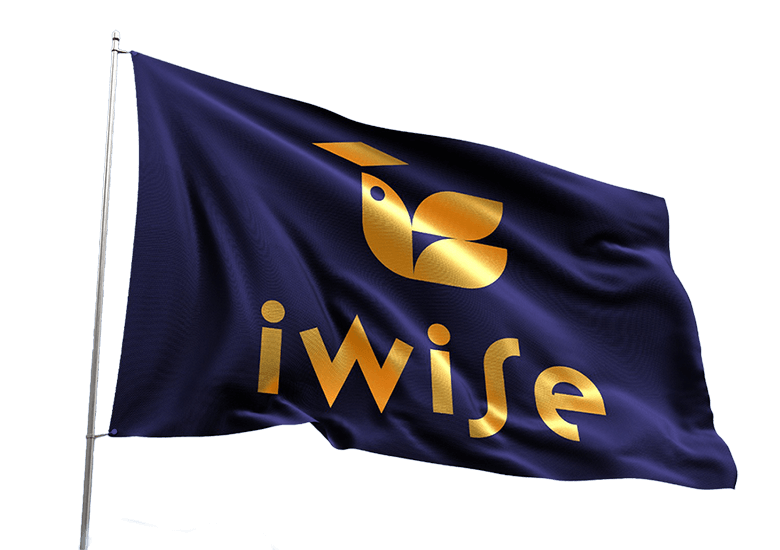 iWISE Logo